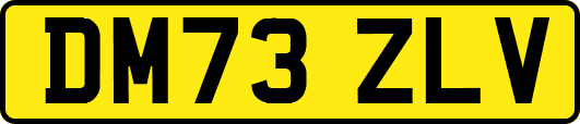 DM73ZLV