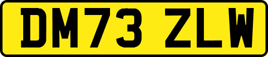 DM73ZLW