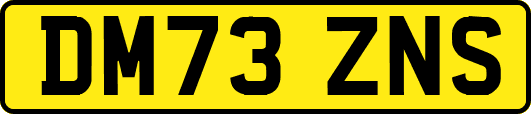 DM73ZNS