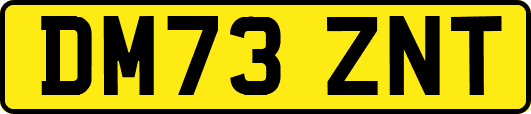 DM73ZNT