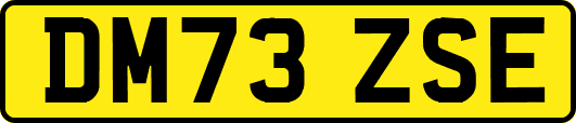 DM73ZSE