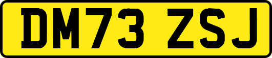 DM73ZSJ