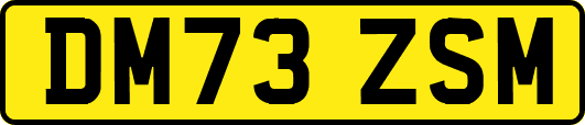 DM73ZSM