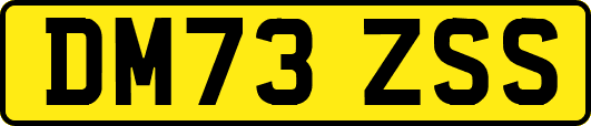 DM73ZSS