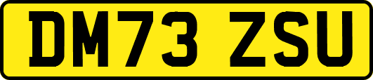 DM73ZSU
