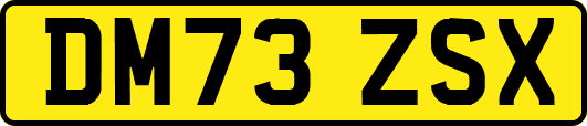 DM73ZSX