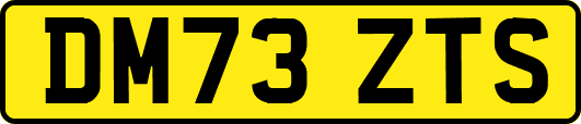 DM73ZTS