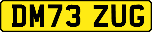 DM73ZUG