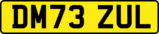 DM73ZUL