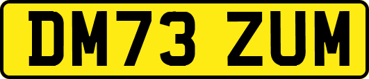 DM73ZUM