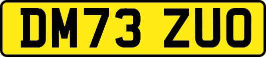 DM73ZUO