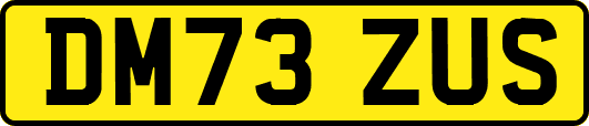 DM73ZUS