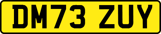 DM73ZUY