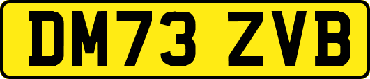 DM73ZVB