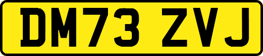DM73ZVJ