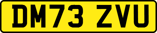 DM73ZVU