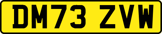 DM73ZVW