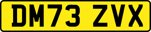 DM73ZVX