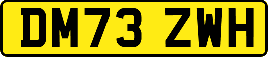 DM73ZWH