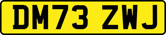 DM73ZWJ