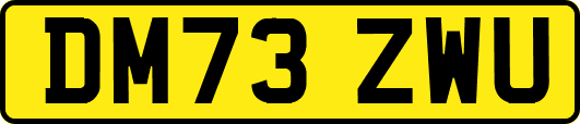 DM73ZWU