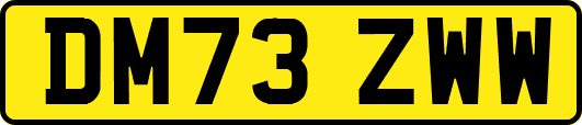 DM73ZWW