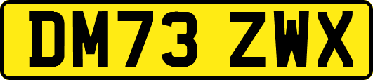 DM73ZWX