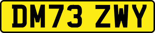 DM73ZWY