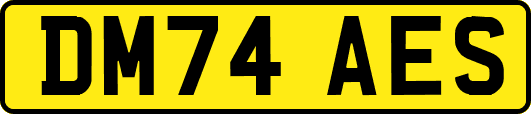 DM74AES
