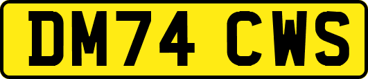 DM74CWS