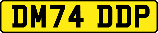 DM74DDP