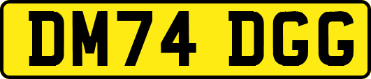 DM74DGG