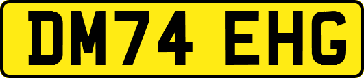 DM74EHG