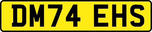 DM74EHS