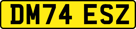 DM74ESZ