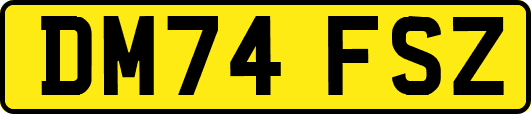 DM74FSZ