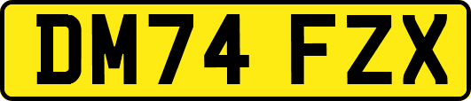 DM74FZX