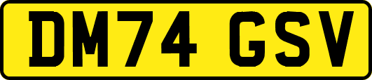 DM74GSV