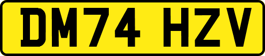 DM74HZV