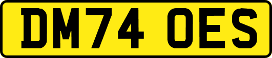 DM74OES