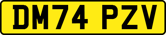 DM74PZV