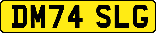 DM74SLG