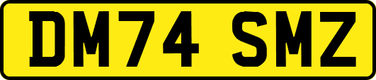 DM74SMZ