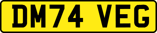 DM74VEG