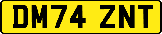 DM74ZNT