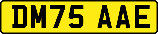 DM75AAE