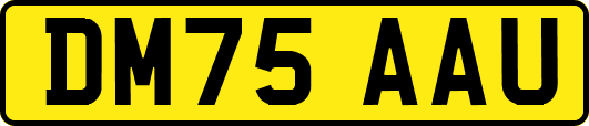 DM75AAU