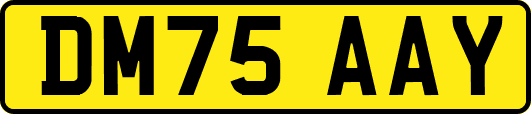 DM75AAY