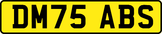 DM75ABS