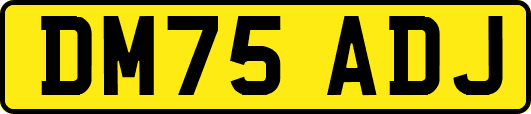 DM75ADJ